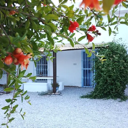 Cueva Alfano Holiday home *